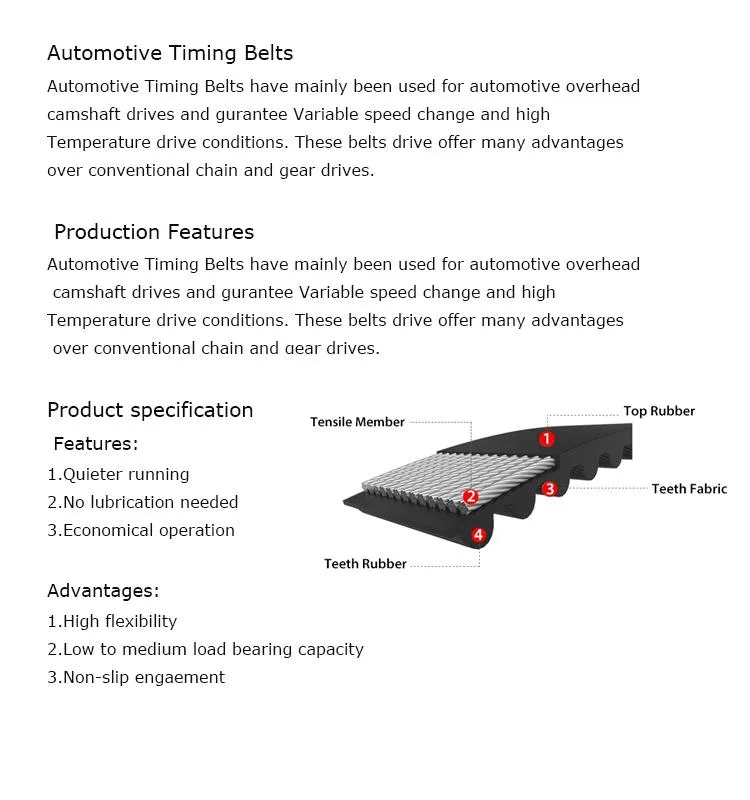 Auto Engine Timing Belt