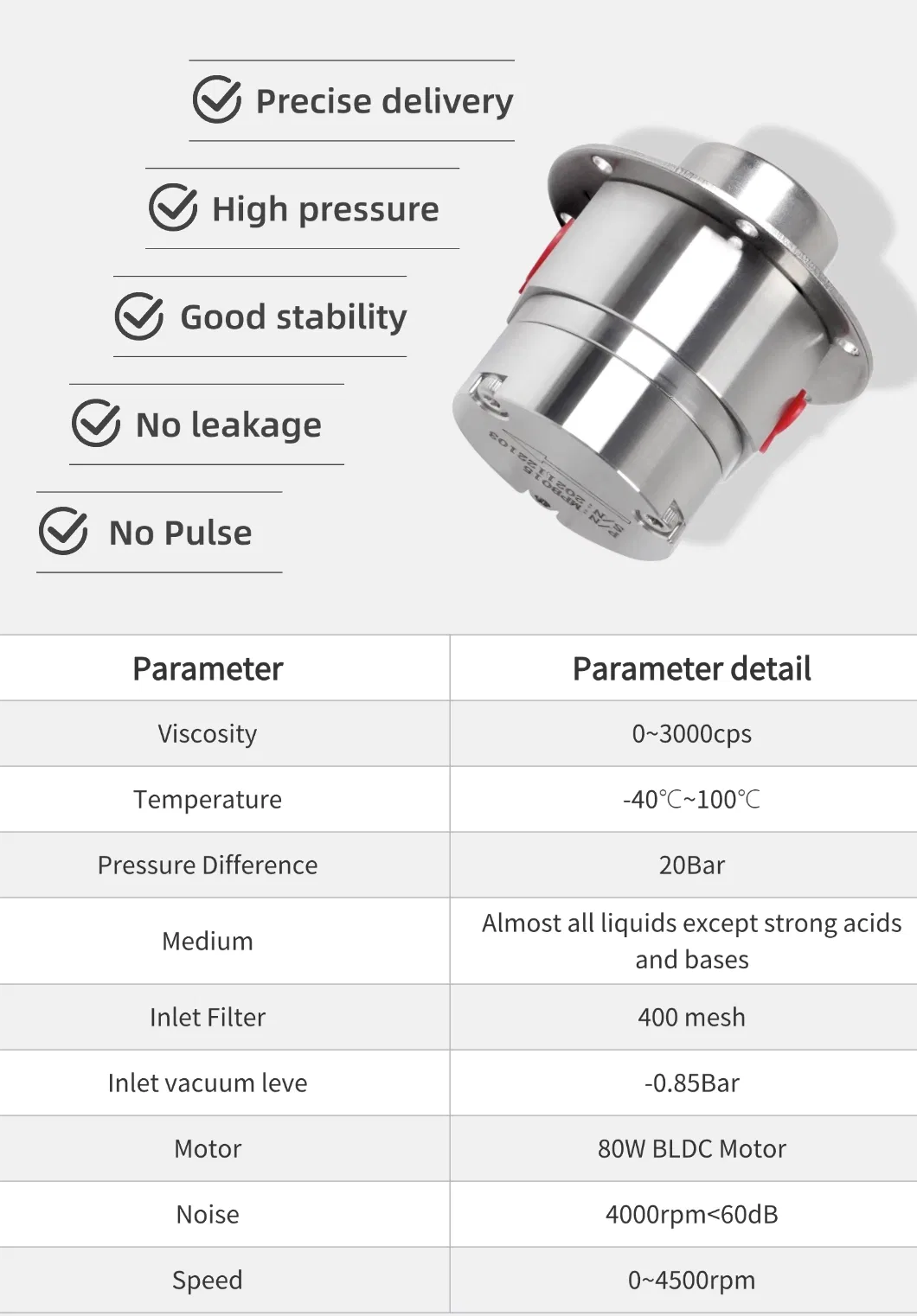 Stainless Steel Gear Pump