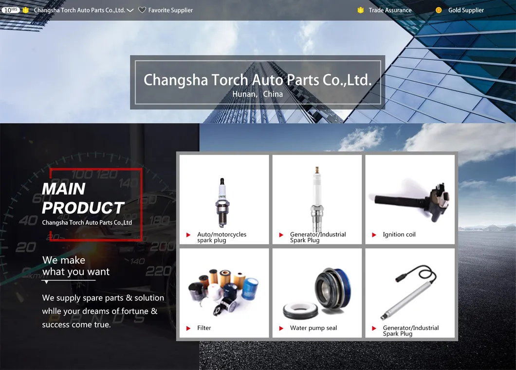 Spark Plug for 4000 Gas Engines