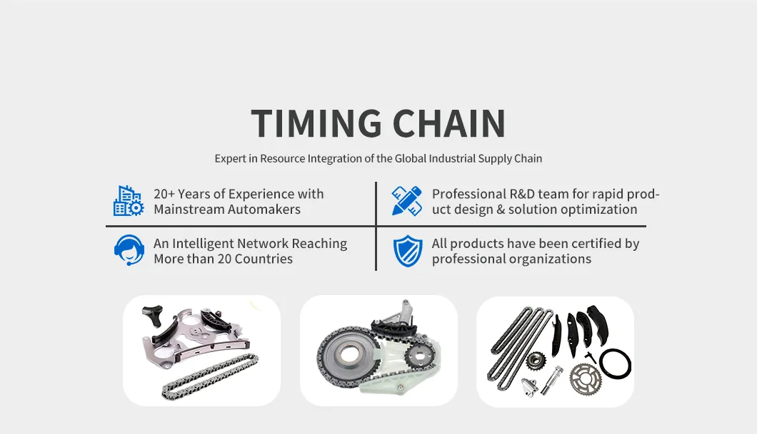Timing Chain Kit Detail