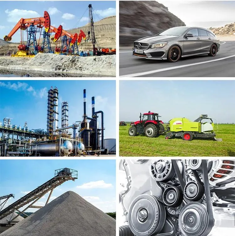 Detailed Belt Structure