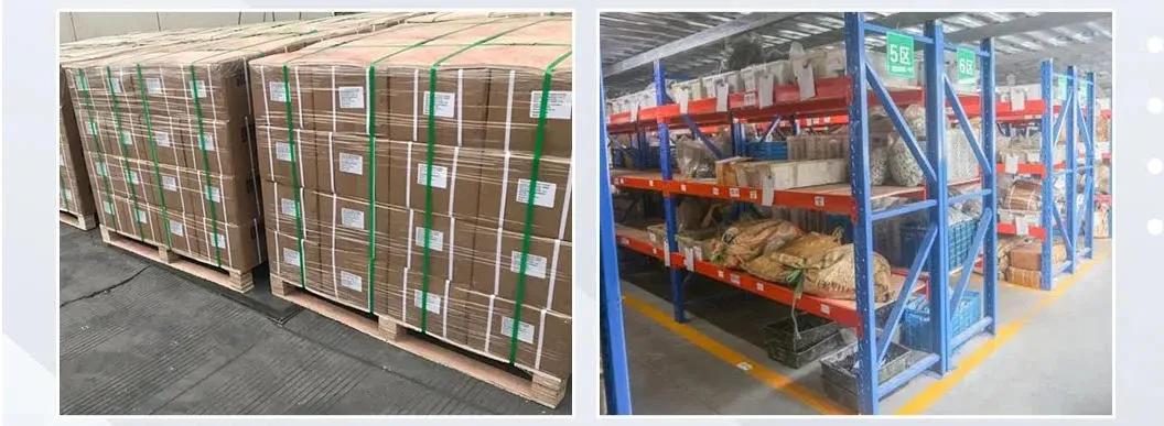 Camshaft Full Length