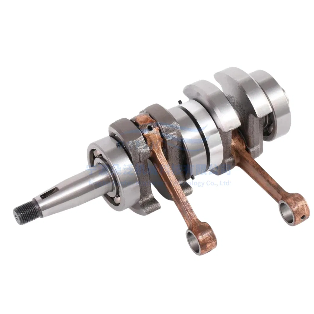 T18 Crankshaft Detail 1