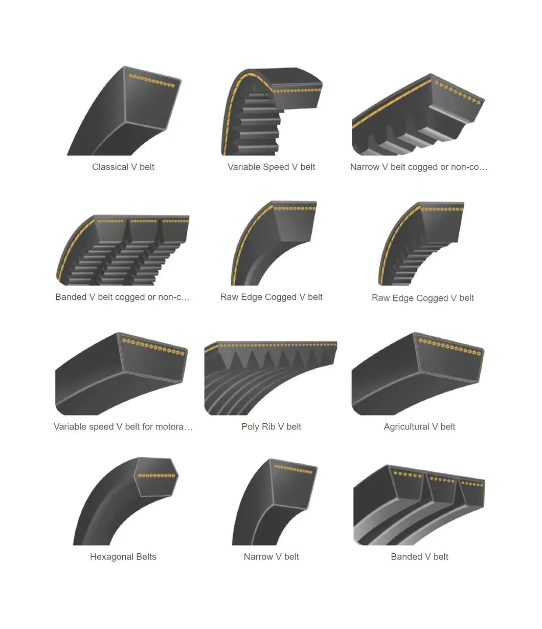Cogged V-Belt View 3