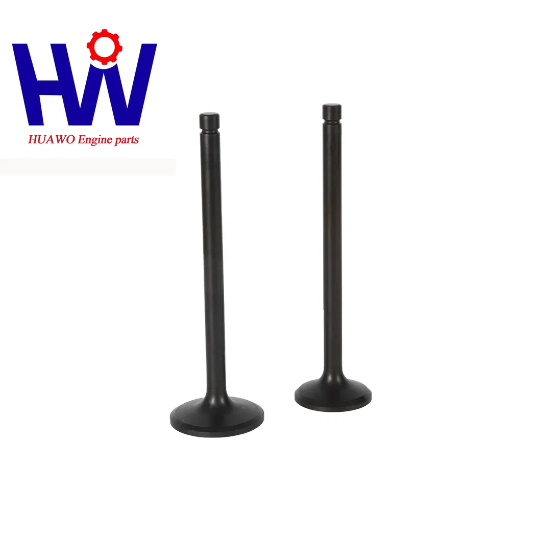 Diesel Engine Valve Detail 1