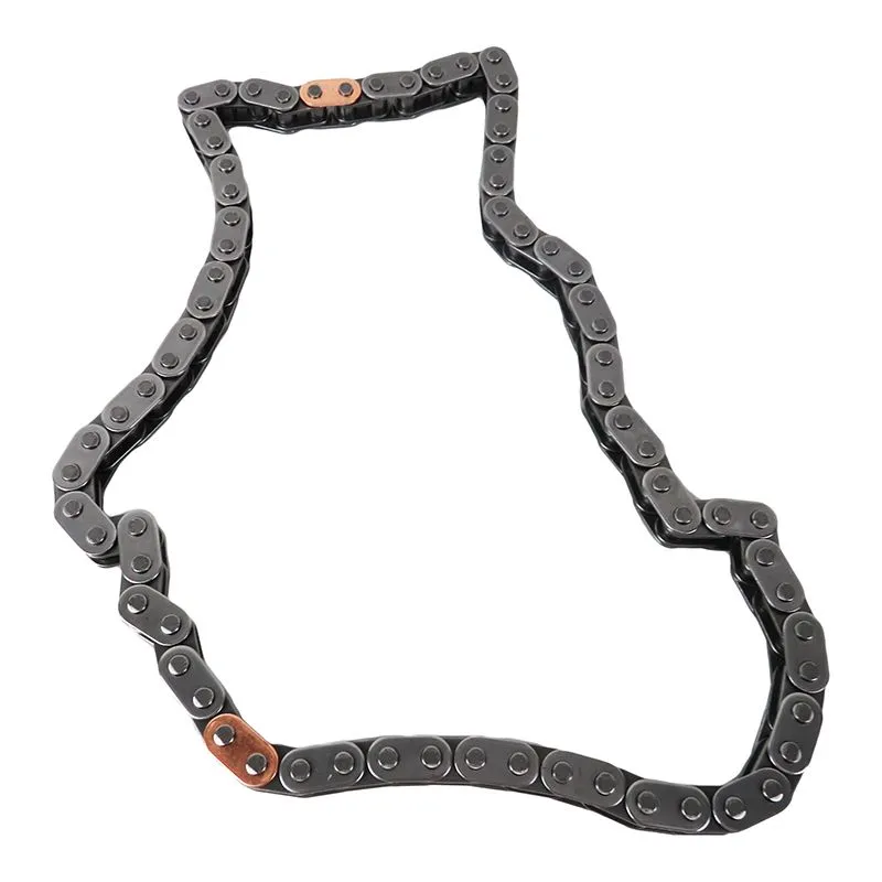 Timing Chain Detail 5