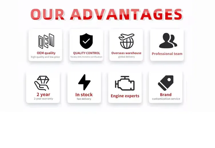 Cg Auto Parts Cylinder Head for BMW Detail