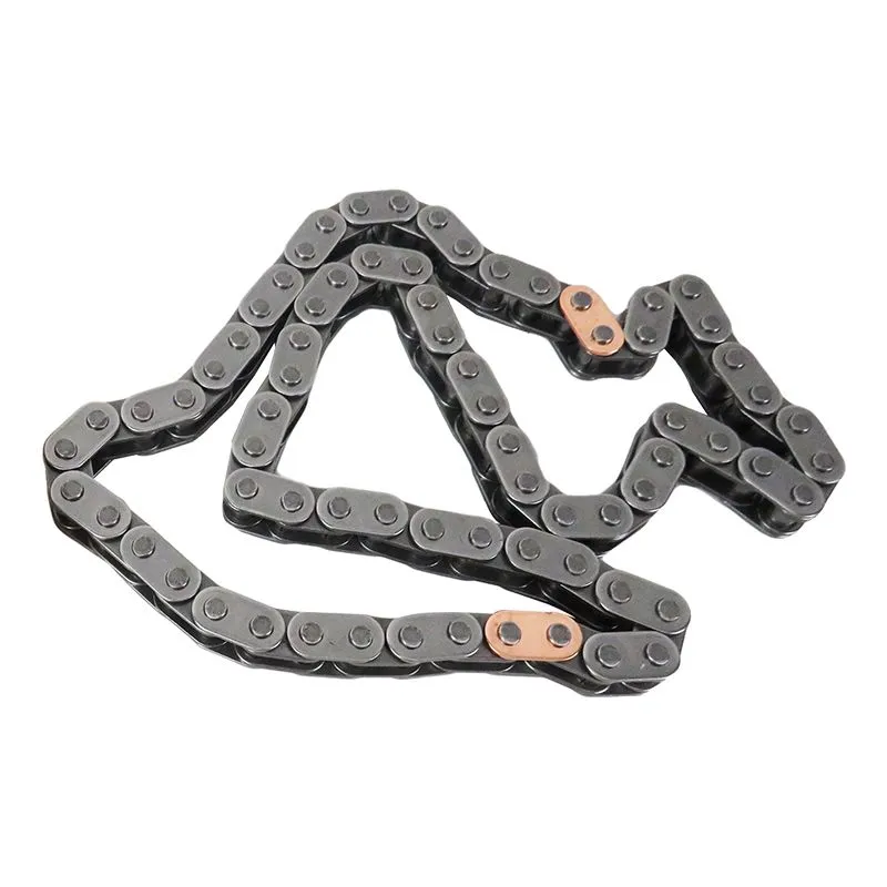 Timing Chain Detail 2