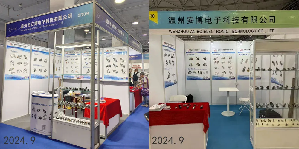 Participation In Exhibitions