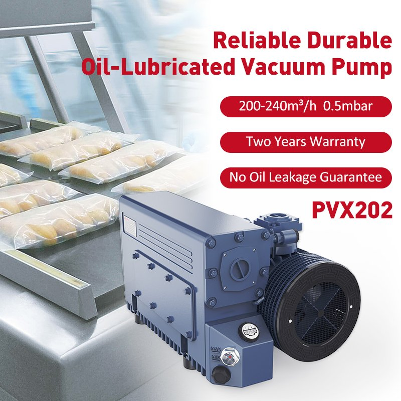 Energy Saving Oil-Lubricated Rotary Vane Pump Pvx202 200-240m³ /H 5.5kw 0.5mbar for Vacuum Packaging Drying 2 Years Warranty