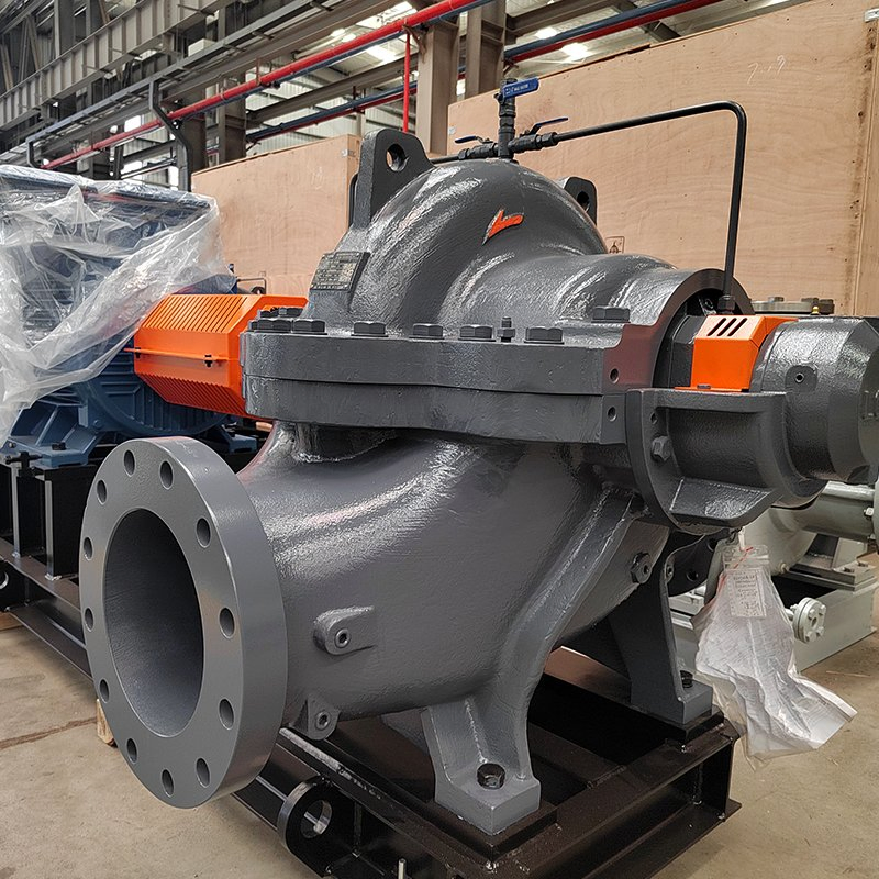 Leo Industrial Electric High Pressure Horizontal Single Stage Double Suction Centrifugal Water Pump for Farmland Irrigation