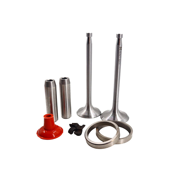 China Manufacturers Hot Sale ZS1110 Small Engine Valve Kits