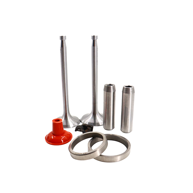 China Manufacturers Hot Sale ZS1110 Small Engine Valve Kits
