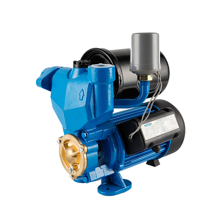 RAM Price Automatic Pumps Electric Self Priming Peripheral Garden Water Pump