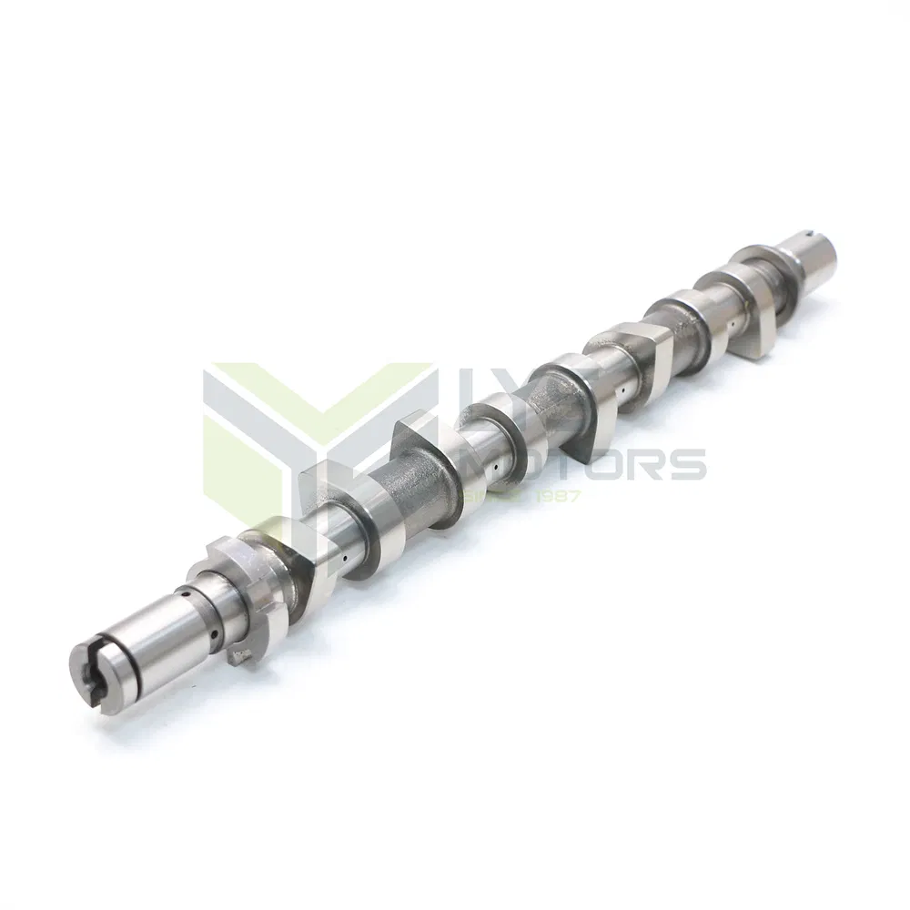 Lysmotors High Quality Auto Parts Camshaft for Renault K9K Intake and Exhaust 1.5 OE 8200978873