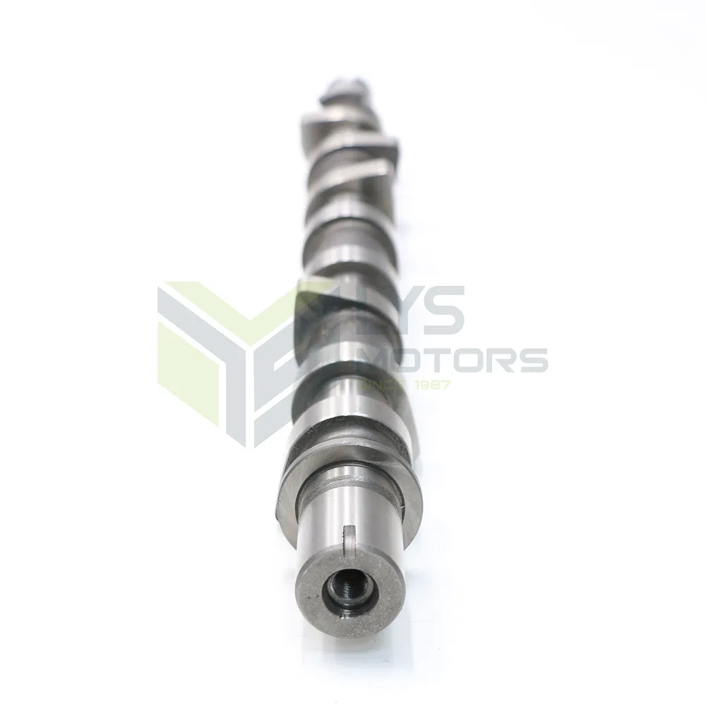 Lysmotors High Quality Auto Parts Camshaft for Renault K9K Intake and Exhaust 1.5 OE 8200978873