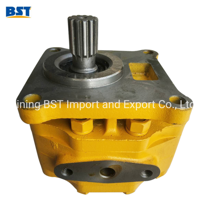 Shantui Caterpillar Bulldozer Excavator Cummins Weichai Isuzu Perkins Hydraulic/Water/Fuel Injection/Oil/Gear/Working/Steering/Transmission/Gear Pump