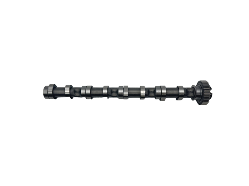 Dependable Accessory Impact Resistant Direct Fit Iron Camshaft Suitable for Multiple Vehicle Models Engine Part Auto Part Spare Automobile Part Price