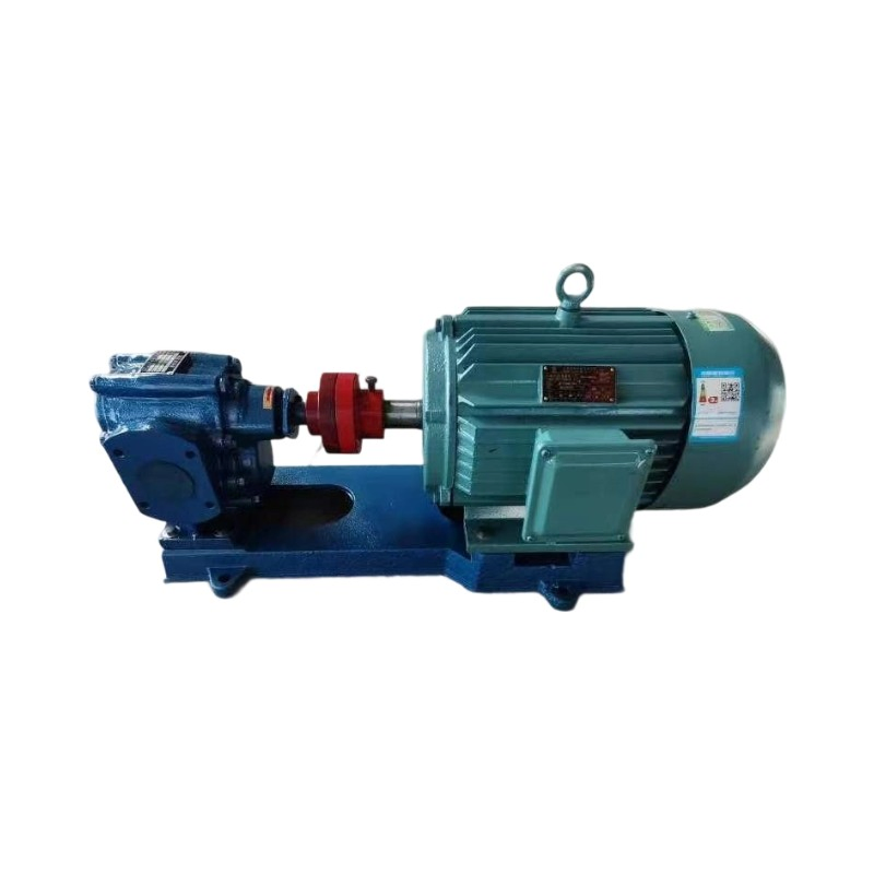 Heavy Oil Electric Cast Iron Gear Pump Waste Slag Oil Pump Fuel Booster Gear Pump