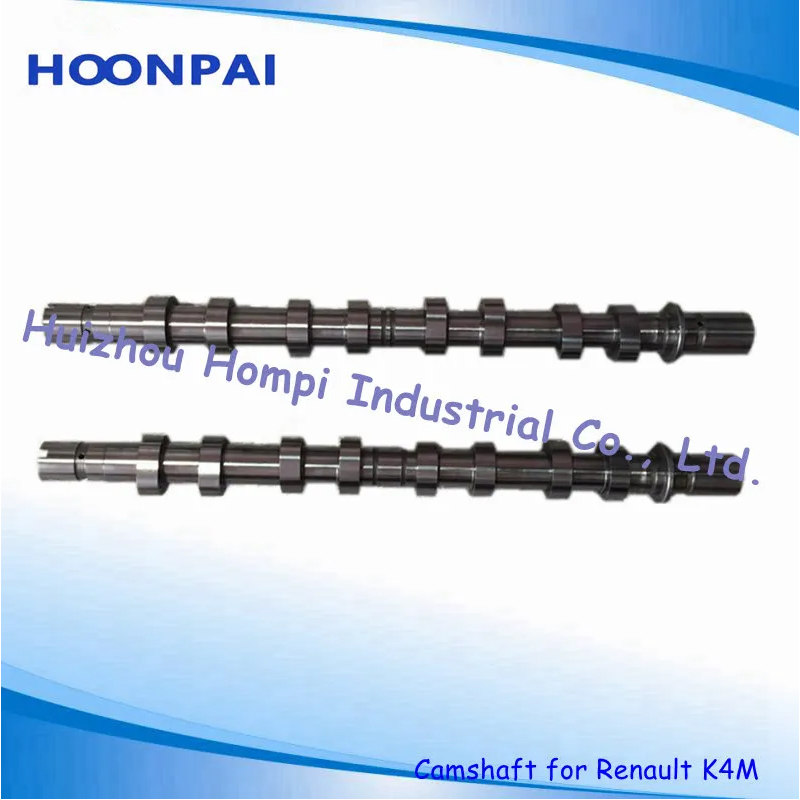 Auto Spare Parts Camshaft for Renault K4m Int/Exh 8200100527/7700110676/8200100528 /7700110675/K9K/F8q/F9q/G8t/K7m/K7j/R12/R9/F4r