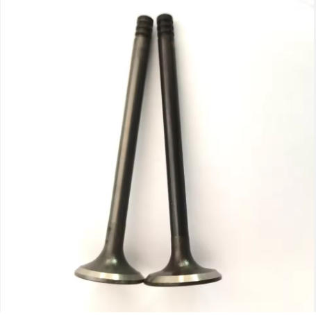 11341722910 11341722911 Intake &amp; Exhaust Valves for BMW M50 Engine