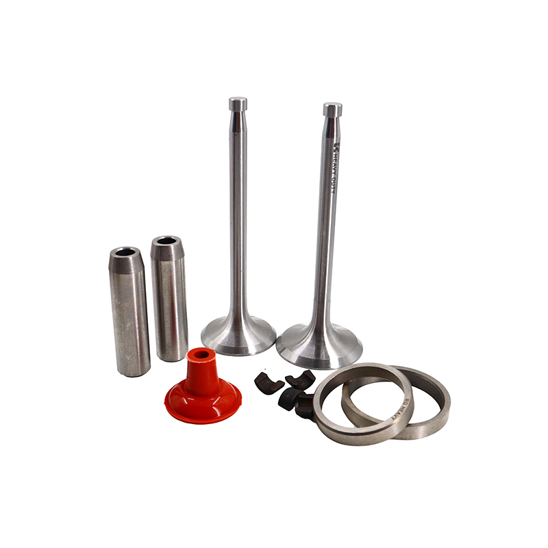 China Manufacturers Hot Sale ZS1110 Small Engine Valve Kits