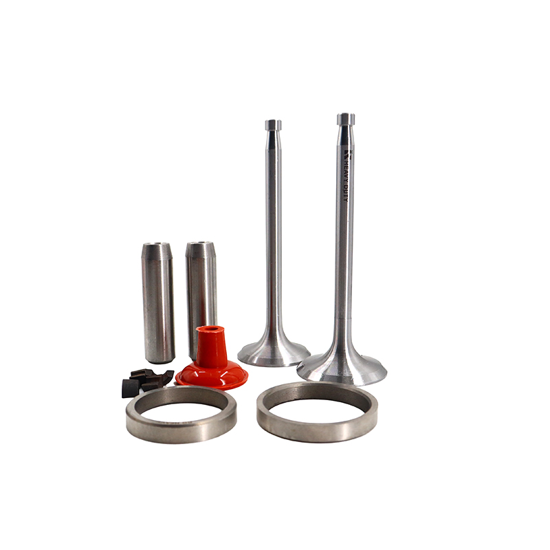 China Manufacturers Hot Sale ZS1110 Small Engine Valve Kits
