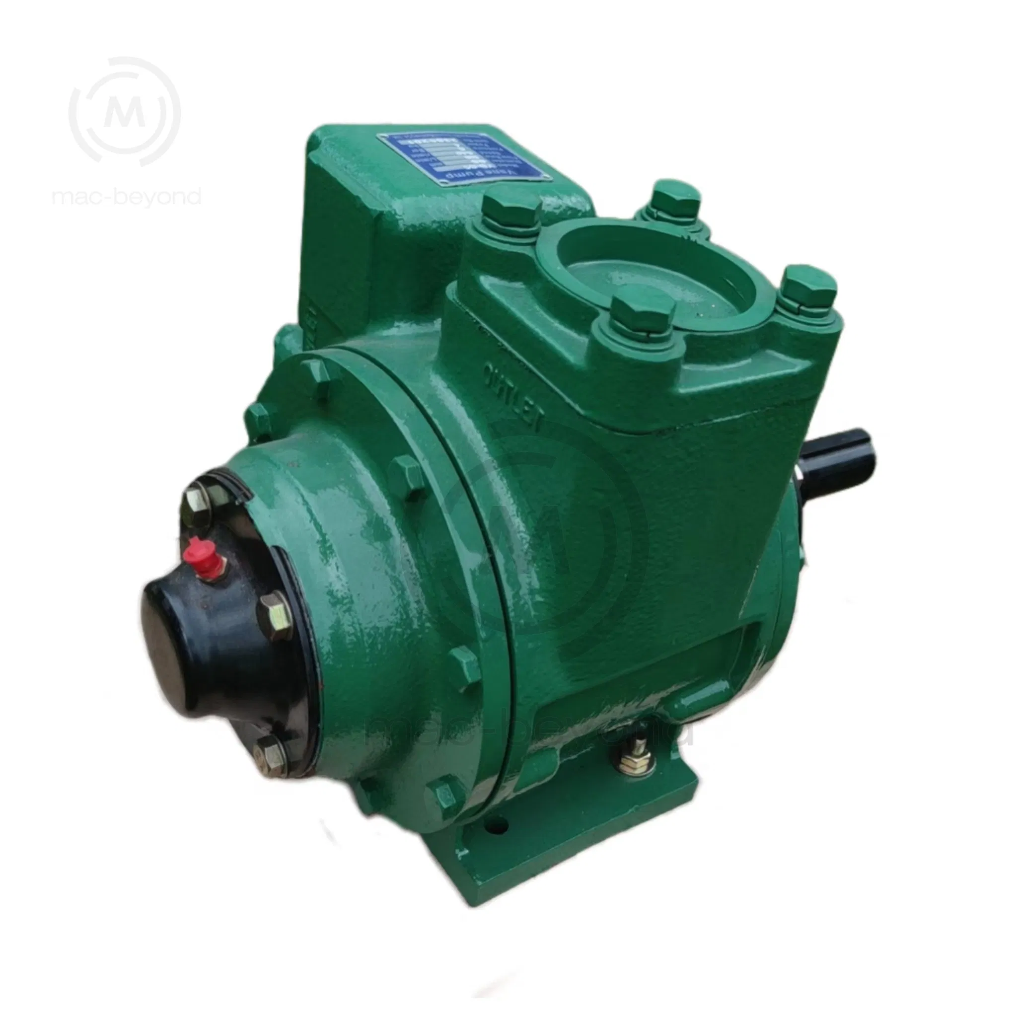 Fuel Delivery 2.5" Unloading Diesel Oil Gas Station Sliding Vane Pump