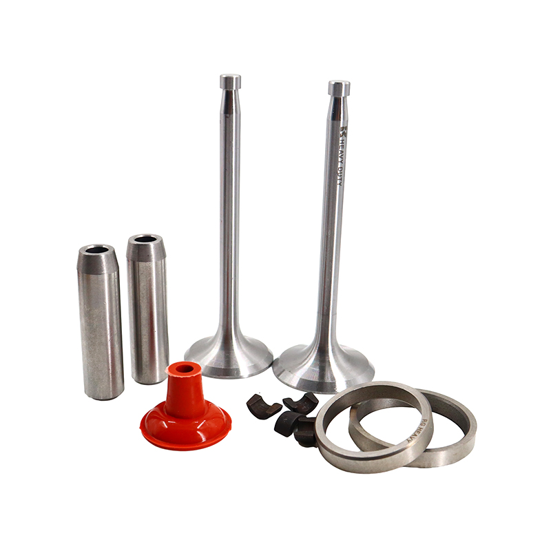 China Manufacturers Hot Sale ZS1110 Small Engine Valve Kits