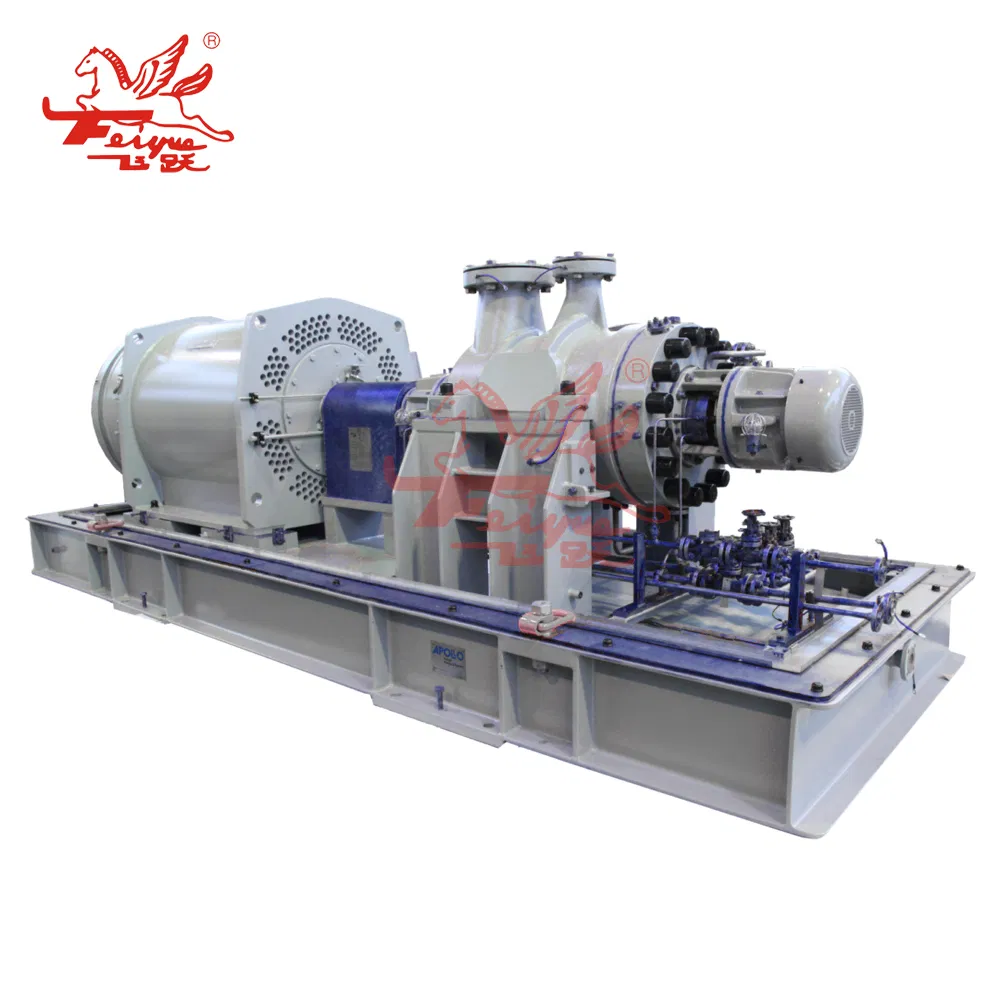 Bb5 (FHB) High-Pressure Centrifugal Pump for Oil and Gas Industry