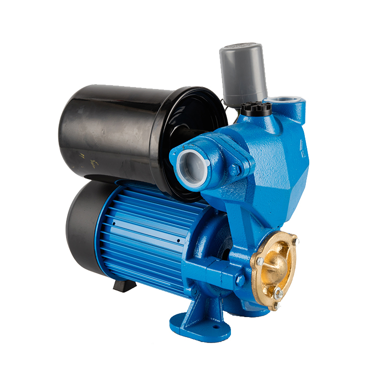 RAM Price Automatic Pumps Electric Self Priming Peripheral Garden Water Pump