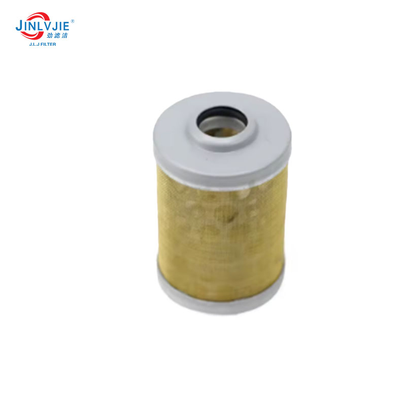 P502406 Engine Fuel Filter 24711004b VV17108155910 6663781 171081-55910
