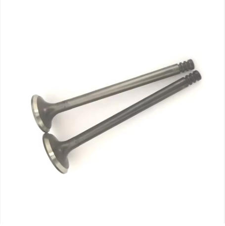 11341722910 11341722911 Intake &amp; Exhaust Valves for BMW M50 Engine