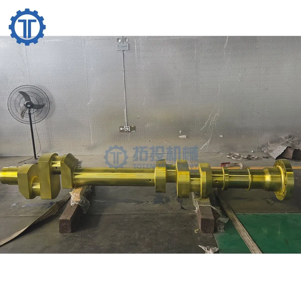 Totem OEM Marine and Reciprocating Compressor Spare Parts Large Steel Crankshaft