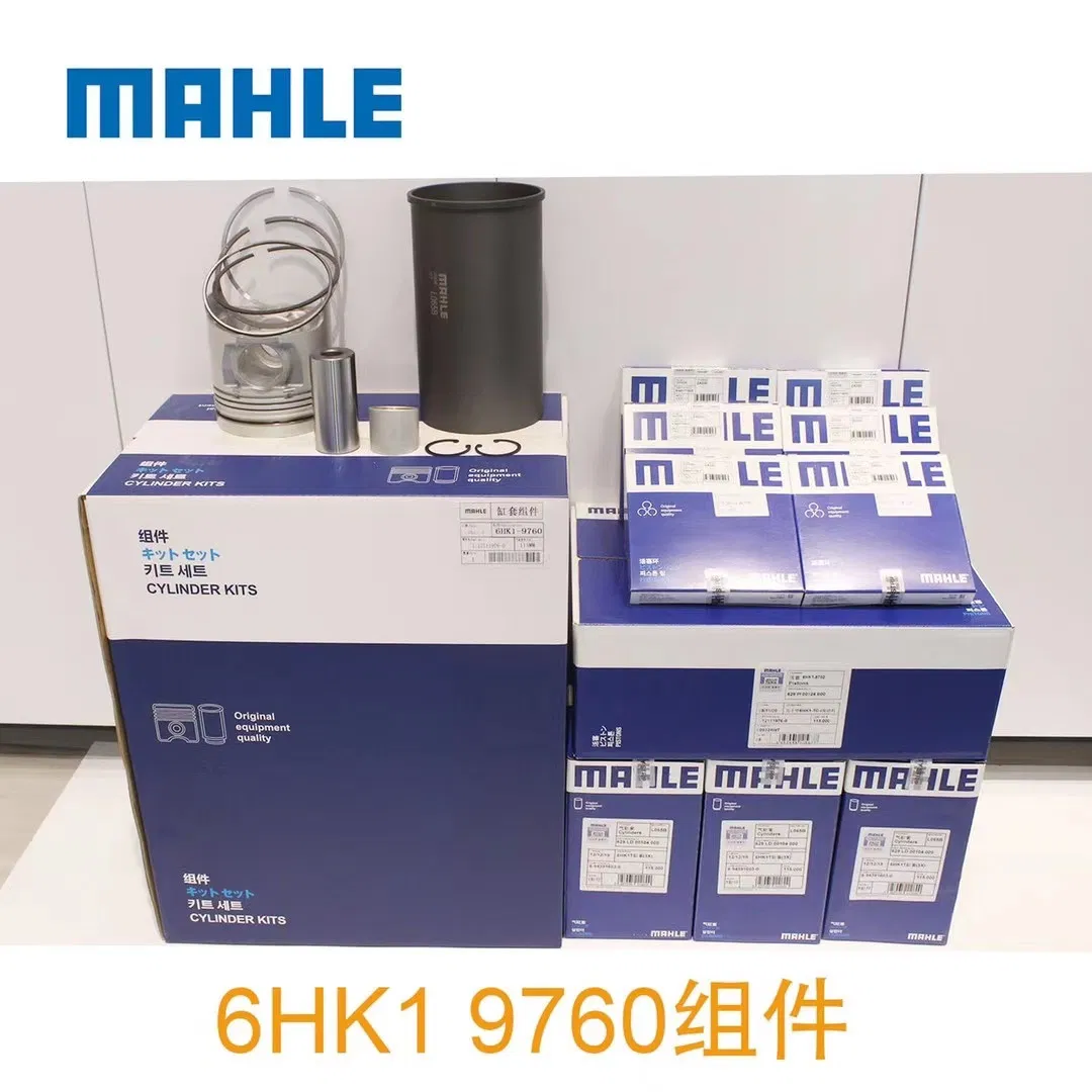 Excavaator Engine Spare Parts S4d95 PC60-7 Mahle Genuine Axial Piston Pump 6204-31-2141