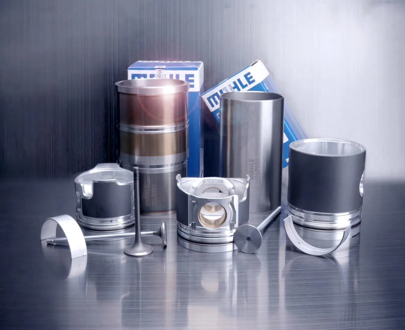 Excavaator Engine Spare Parts S4d95 PC60-7 Mahle Genuine Axial Piston Pump 6204-31-2141