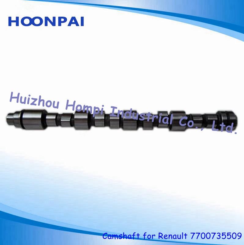 Auto Spare Parts Camshaft for Renault K4m Int/Exh 8200100527/7700110676/8200100528 /7700110675/K9K/F8q/F9q/G8t/K7m/K7j/R12/R9/F4r