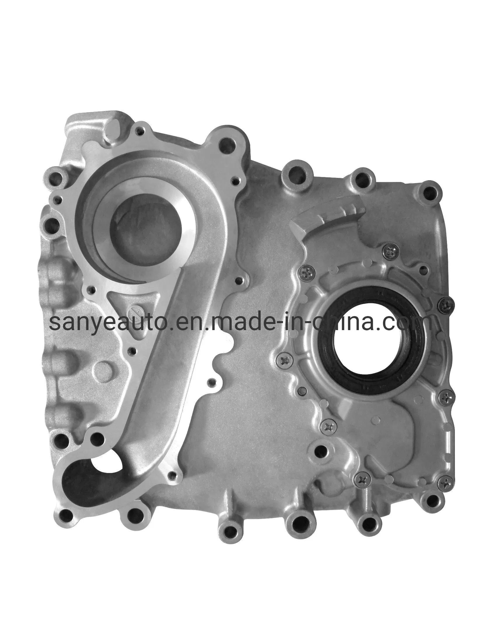 Ap-Jsw Brand High Quality A6461801601 for Mercedes Benz Oil Pump
