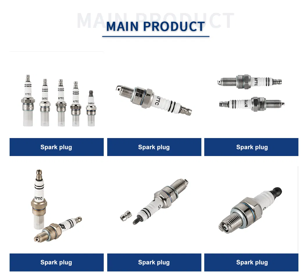 Spark Plug Details