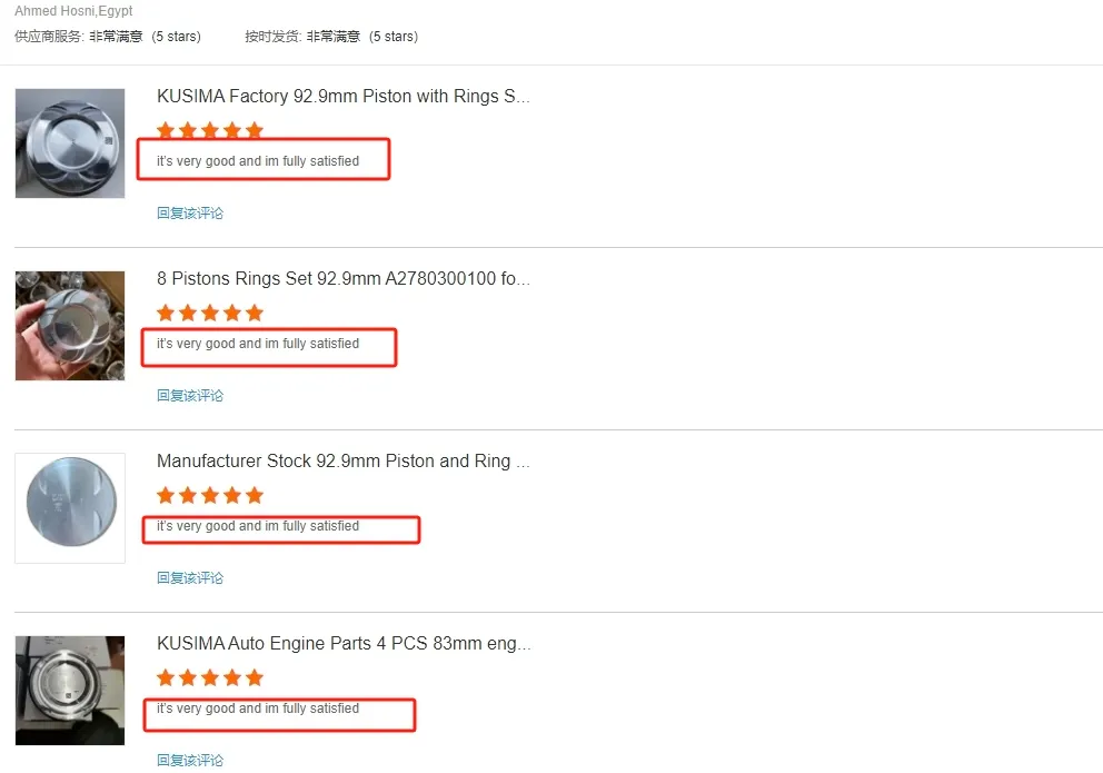 Engine Piston Top View