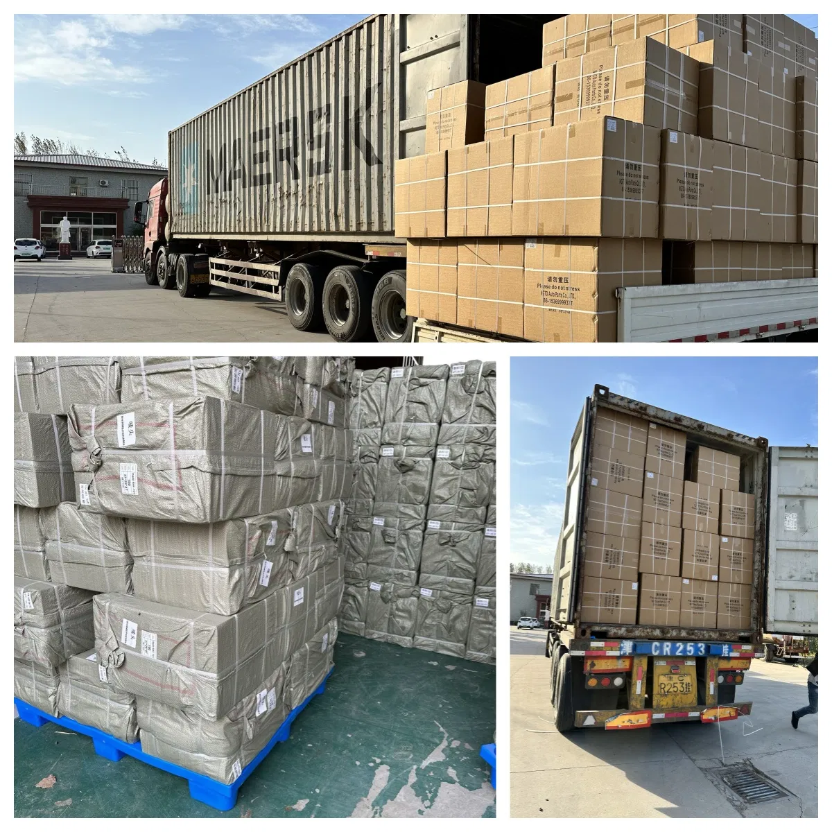 Shipping Options