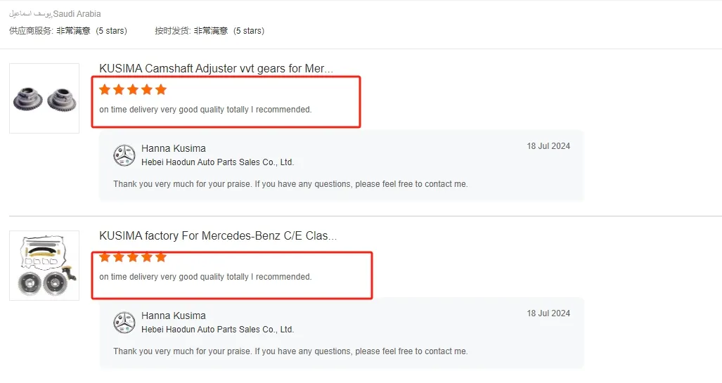 BMW Timing Chain Components