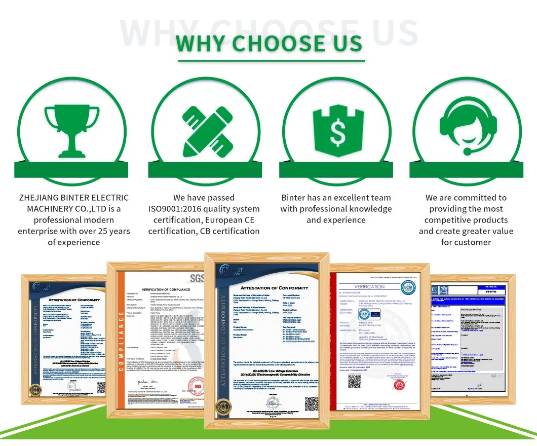Water Supply Pump View 5