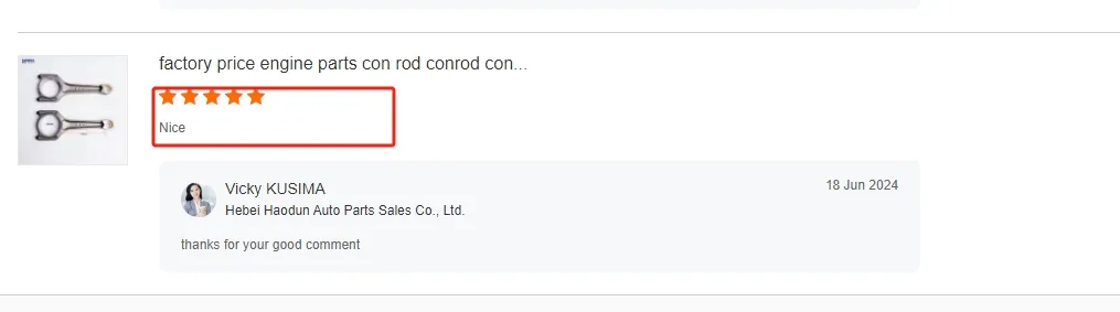 Land Rover Connecting Rod LR117871 Main View