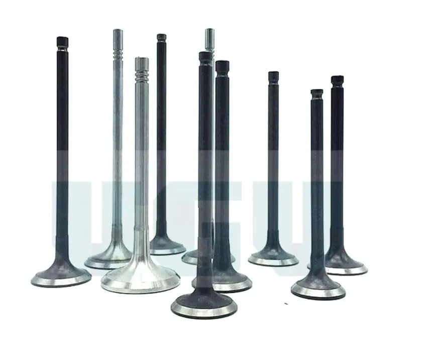 Engine Valve Detail View