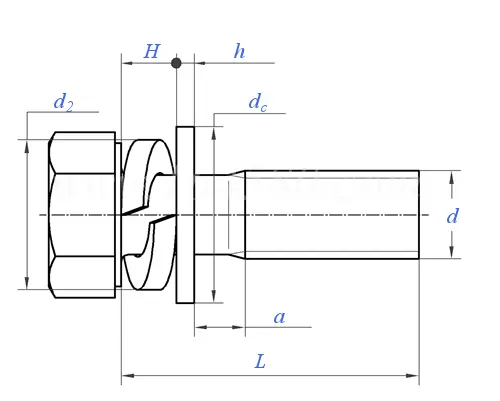 Hexagon head bolt, spring washer and plain washer assemblies