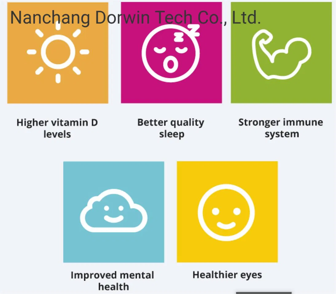 Simple Style Solar Energy Sunroom Glass House Conservatory Flooded with Sunshine