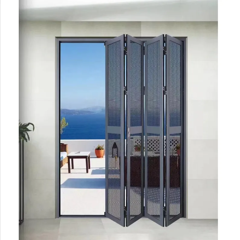 Folding Screen Door 1