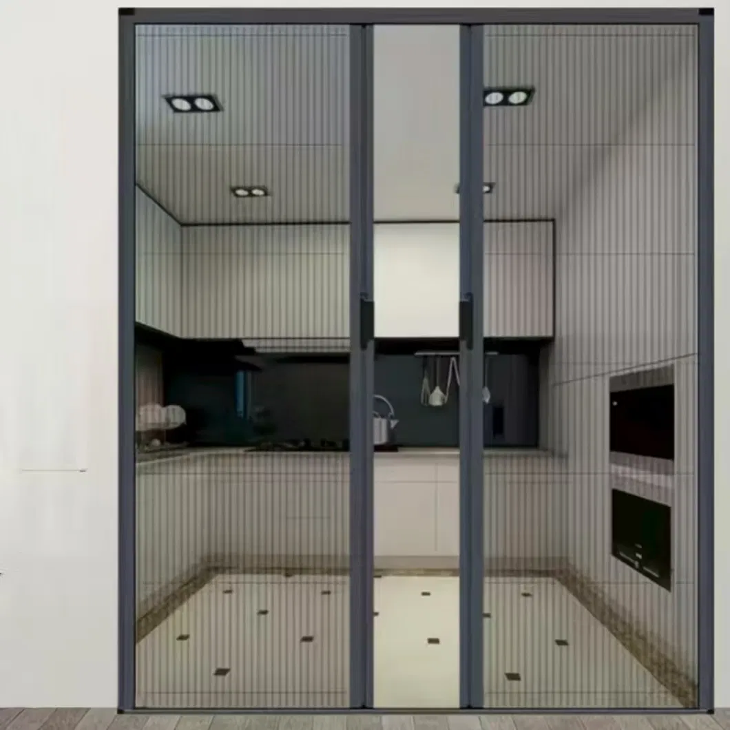 Factory-Made High-Quality and Low-Priced Mosquito-Proof Retractable Metal Window and Door Screens