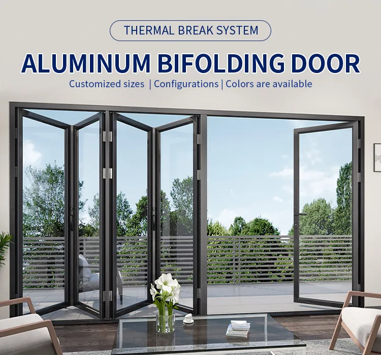 Bifold Door Detail 1